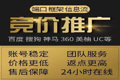 成功案例：sem竞价托管的智慧与策略
